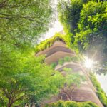 Nachhaltig auf Reisen 6 Begrüntes Gebäude umgeben von Bäumen und Sonnenlicht