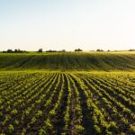 Test 2 4 bodenversiegelung